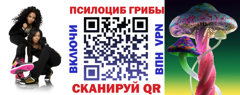 Псилоцибиновые грибы Psilocybe Красноуральск
